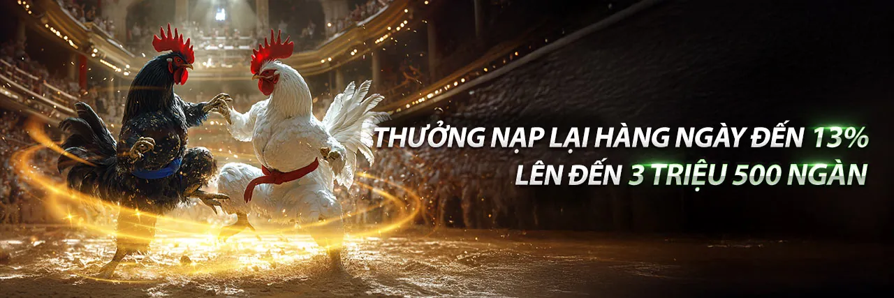 Sân đá gà trực tuyến sôi động tại f186 Win